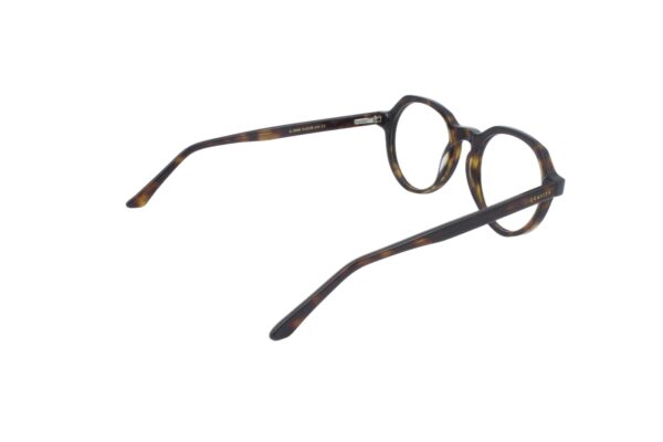 Eva Tortoise Pento - Image 4